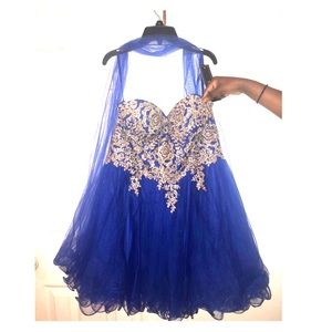 A Coya collection royal blue dress includes sash.